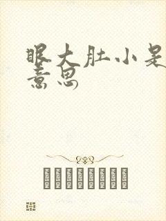 眼大肚小是什么意思封面