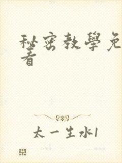 秘密教学免费观看封面