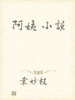阿姨 小说