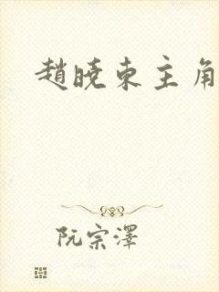 赵晓东主角小说