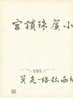 宫锁珠帘小说封面