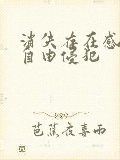 消失存在感消失自由侵犯