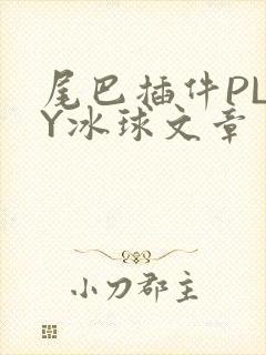 尾巴插件PLAY冰球文章