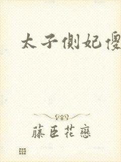 太子侧妃傻乎乎