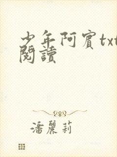 少年阿宾txt阅读