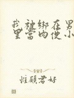 我被绑在男公厕里当肉便小说