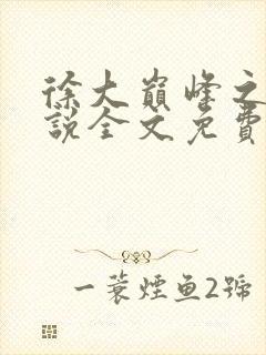 徐大巅峰之路小说全文免费阅读