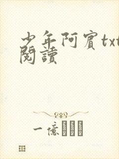 少年阿宾txt阅读