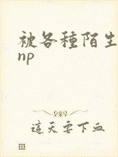 被各种陌生人 np
