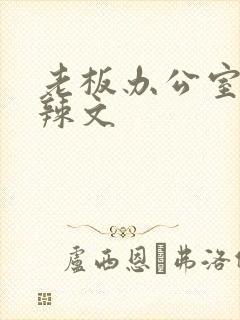 老板办公室系列辣文封面