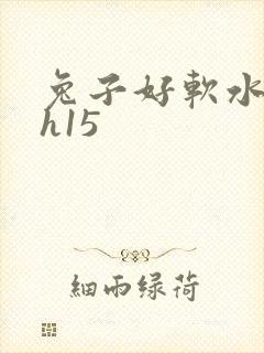 兔子好软水好多h15