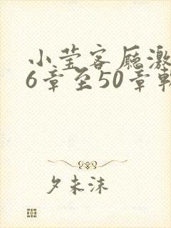 小莹客厅激情46章至50章软件介绍封面