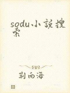 sodu小说搜索封面