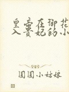 皇帝在御花园进入贵妃的小说