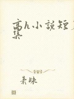 高h小说短篇合集