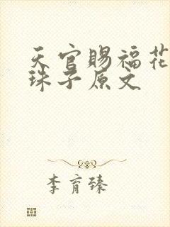 天官赐福花怜塞珠子原文封面