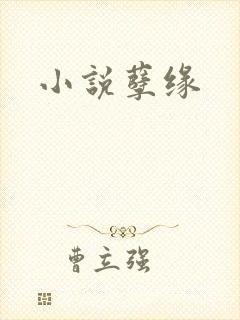 小说孽缘