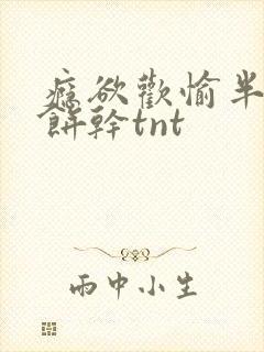 瘾欲欢愉半块小饼干tnt