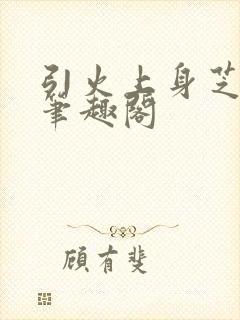 引火上身芝麻糖笔趣阁