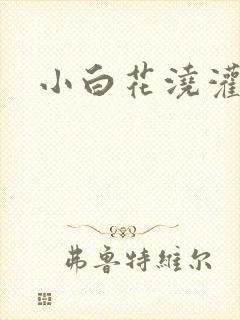 小白花浇灌日常