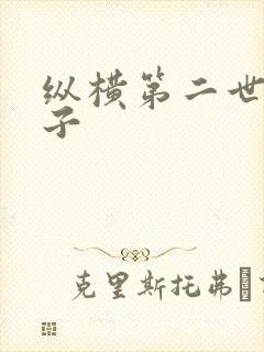 纵横第二世界宽子