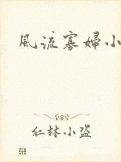 风流寡妇小说