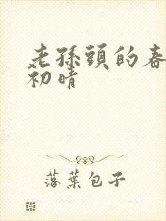 老孙头的春天林初晴封面