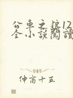 公车之狼12集全小说阅读