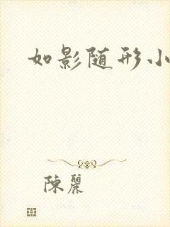 如影随形小说