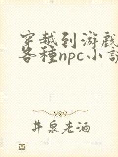 穿越到游戏里和各种npc小说