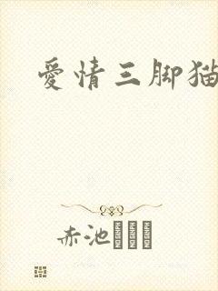 爱情三脚猫封面