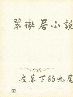 翠微居小说