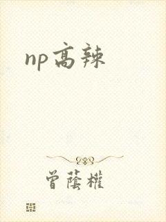 np高辣