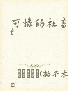 可怜的社畜txt