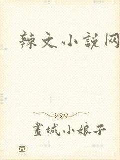 辣文小说网
