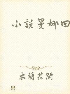 小说曼娜回忆录封面