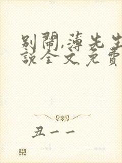 别闹,薄先生小说全文免费阅读