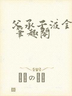 父承子液金银花 笔趣阁封面