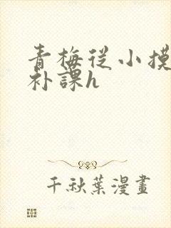 青梅从小摸到大补课h