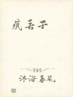 疯丢子封面