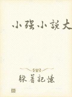 小强小说大全封面