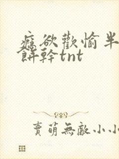 瘾欲欢愉半块小饼干tnt