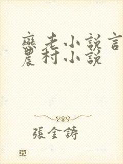 恋老小说言情网农村小说封面