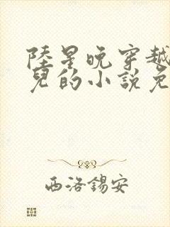 陆星晚穿越成婴儿的小说免费阅读全文封面
