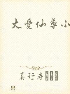 大爱仙尊小说