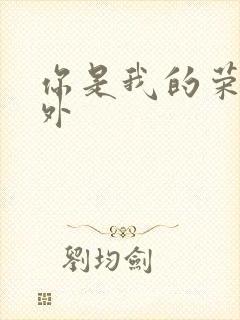 你是我的荣耀番外