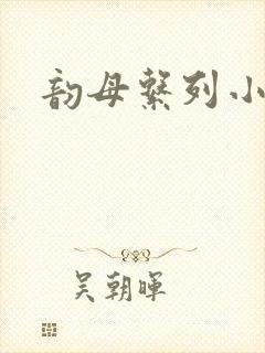 韵母系列小说