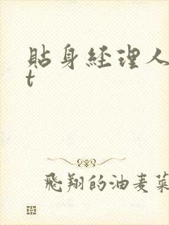 贴身经理人txt封面