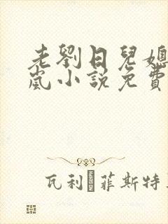 老刘日儿媳妇张岚小说免费阅读