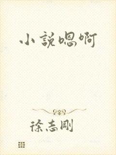 小说嗯啊封面